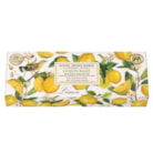 Lemon Basil Set 3 Soap Gift Set by Michel Design Works