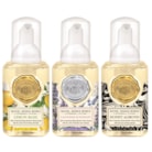 Mini Foaming Hand Soap Set Classic Collection by Michel Design Works