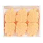 Peach Blossom & Vanilla Box of 6 Leaf Shaped Wax Melts by Woodbridge