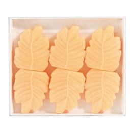 Peach Blossom & Vanilla Box of 6 Leaf Shaped Wax Melts by Woodbridge