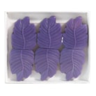 Wild Blackberries Box of 6 Leaf Shaped Wax Melts by Woodbridge